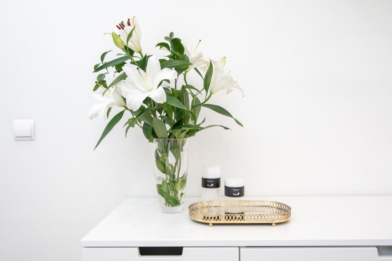 Iloftmalaga Sebastian Souviron Apartment Luaran gambar